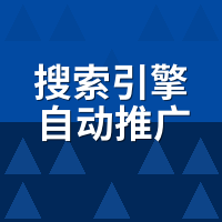 搜索引擎自动推广系统有用吗？实测6个月自然流量增长数据